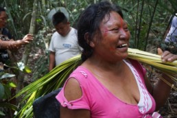 Collecting chambira palm fibres