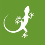 Mongabay